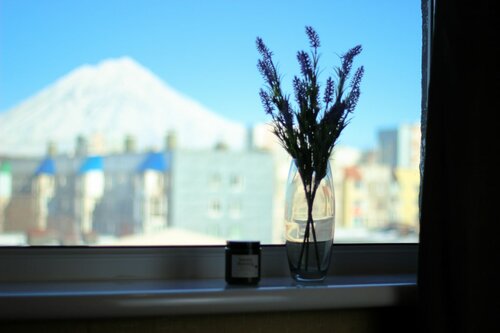 IZIhome Kamchatka на Савченко 11  фото 7