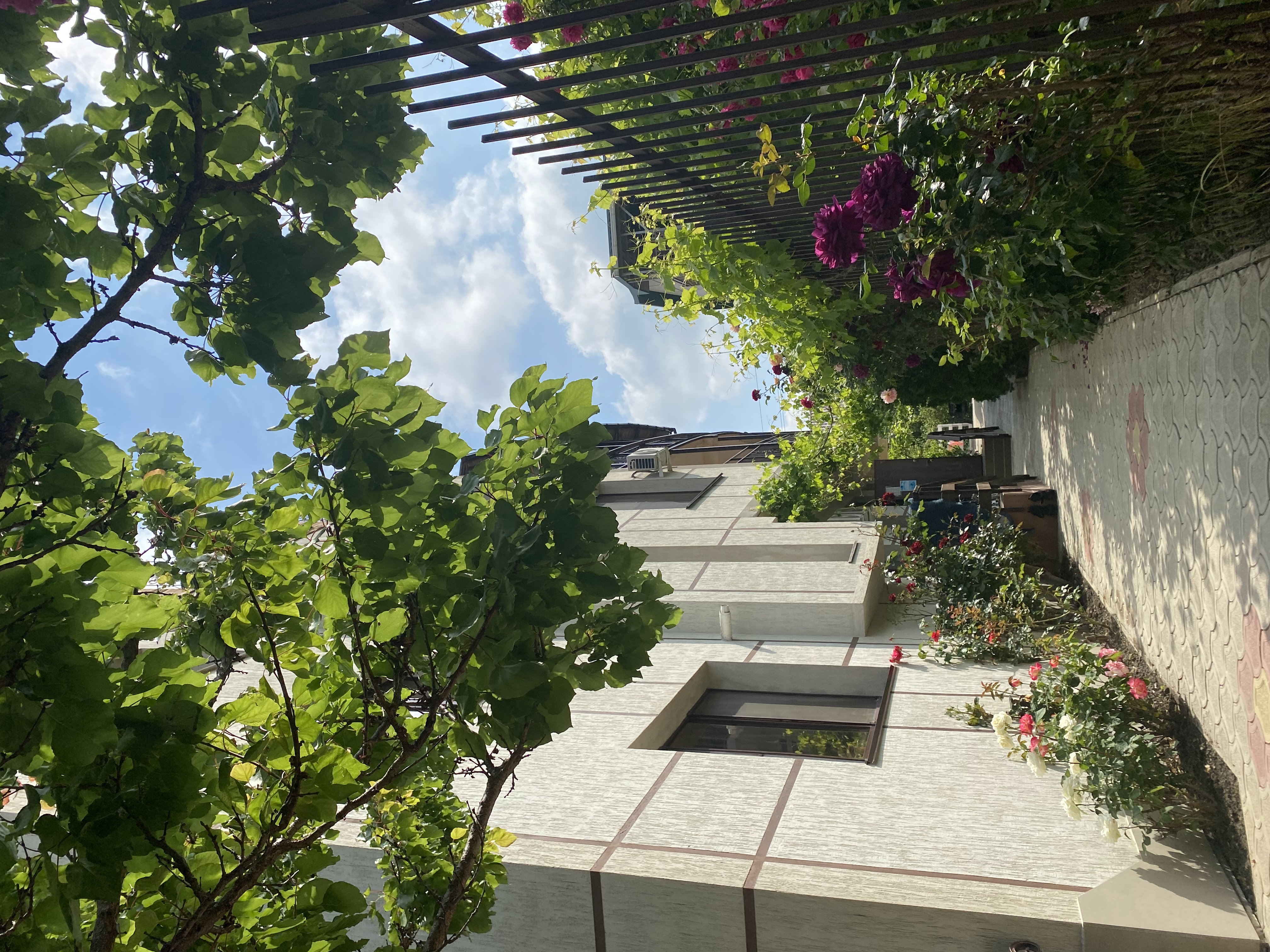 Фото Родничок