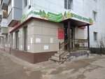 Лидер (Kaluga, Karla Libknekhta Street, 14), greengrocery