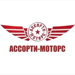 logo Ассорти-Моторс