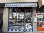 Taylan Watches (İstanbul, Bağcılar, Çarşı Cad., 66A), production and wholesale of watches