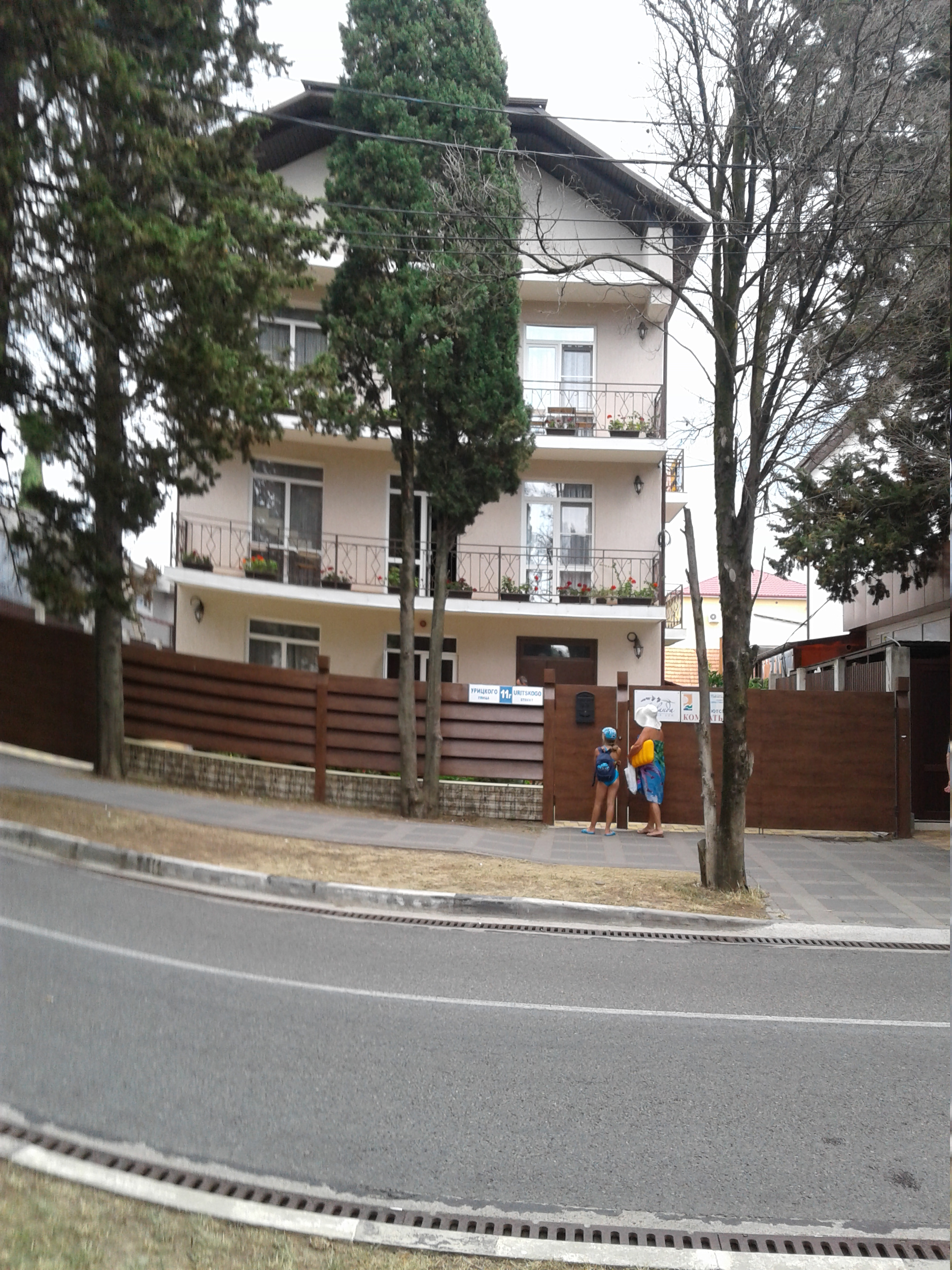 Фото Лаванда