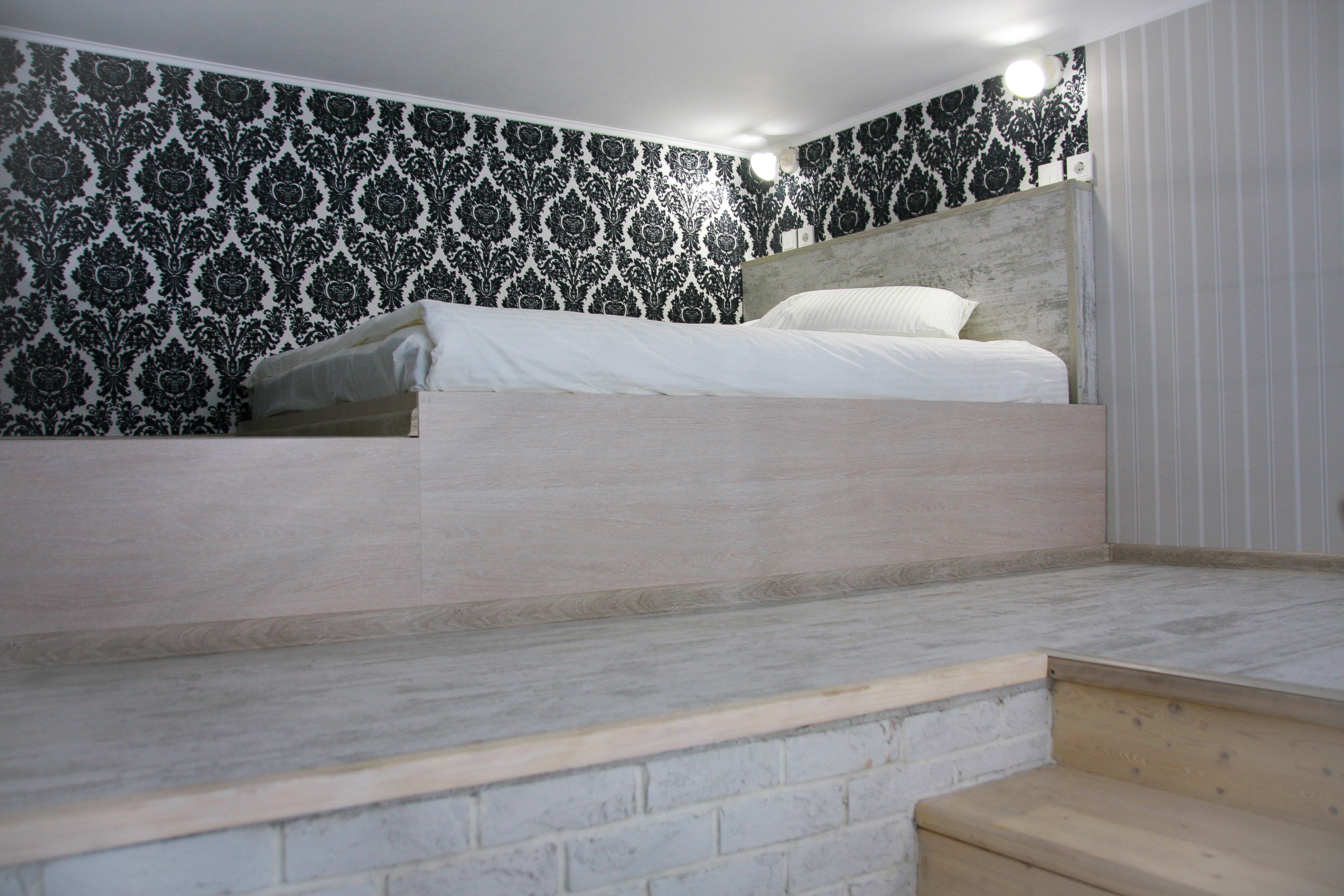 Фото Наутилус