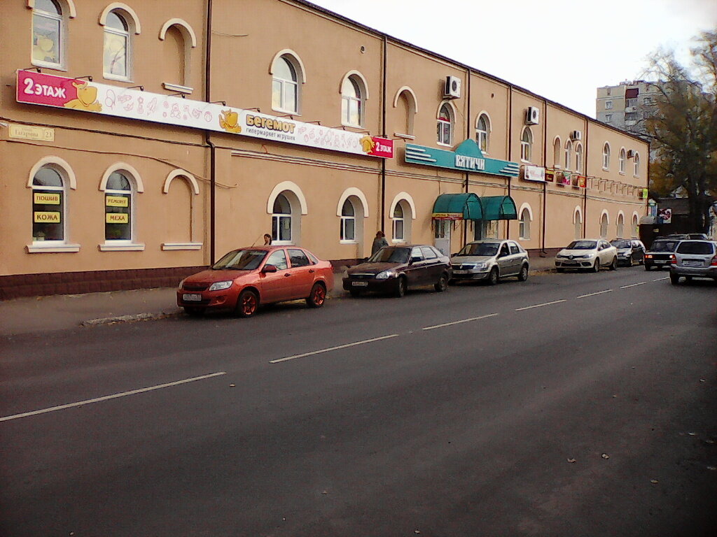 Shopping mall Torgovy tsentr Vitichi, Orel, photo