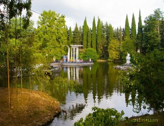 Қорық Сочинский национальный парк, Сочи, фото