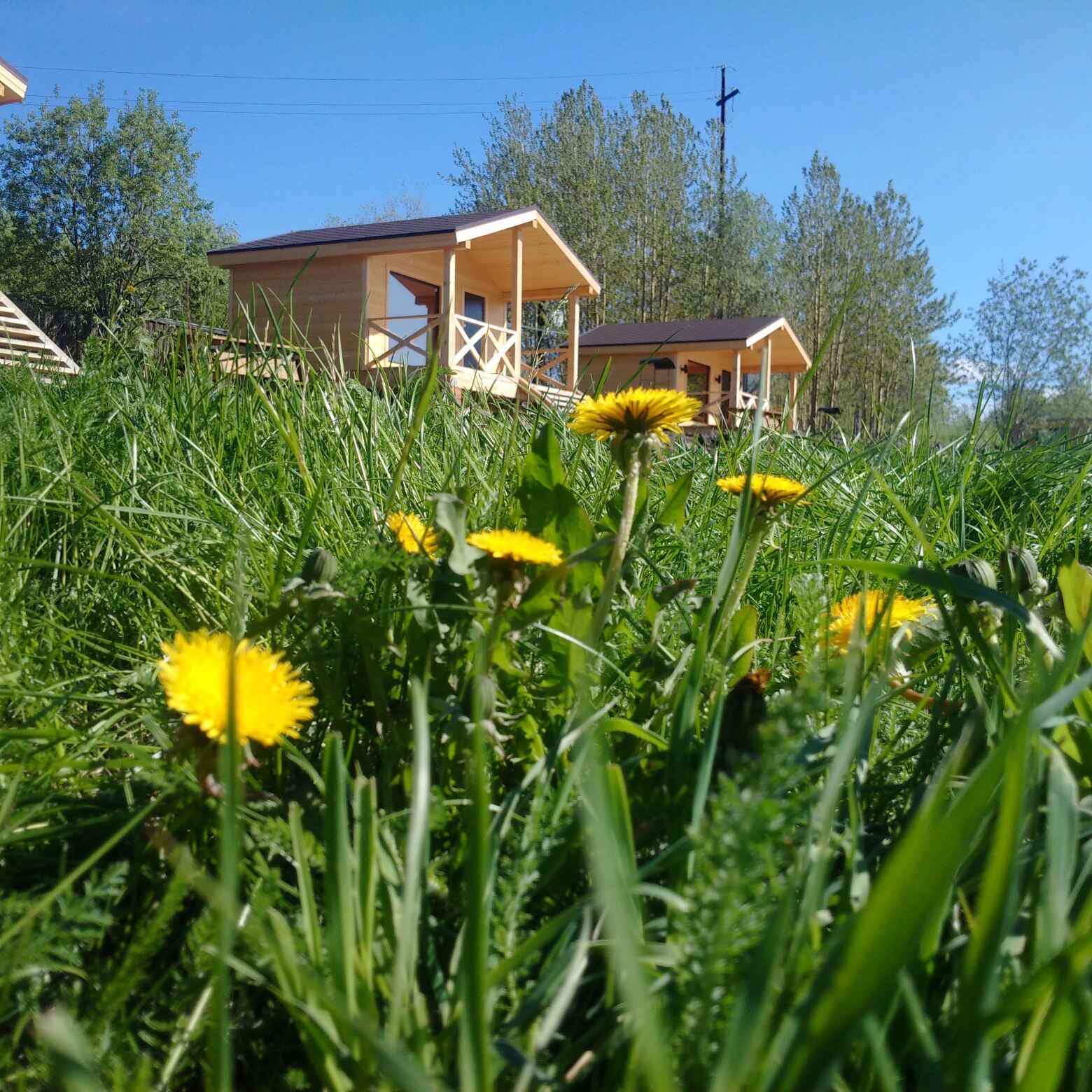 Фото Гольфстрим