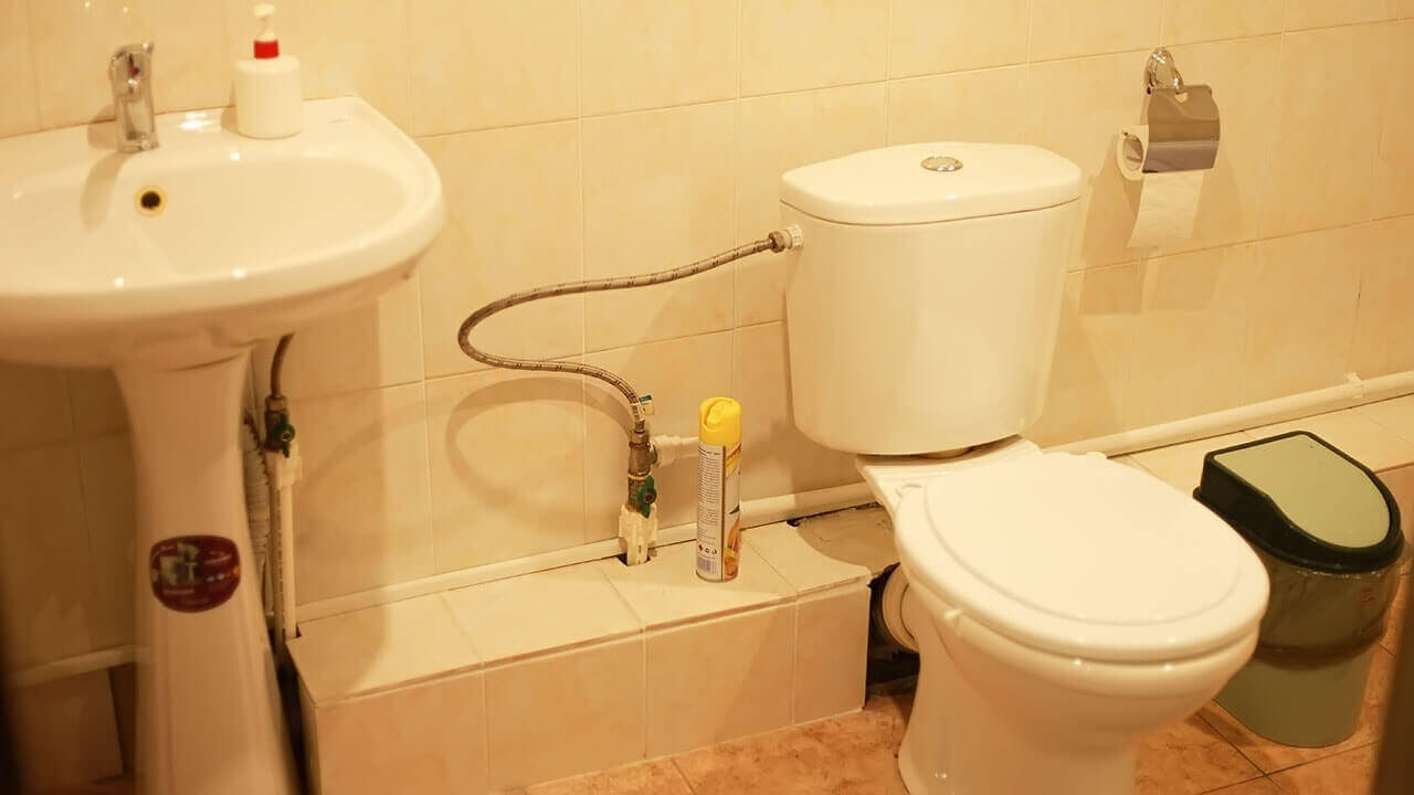 Фото Наутилус