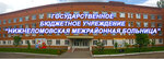 Нижнеломовская межрайонная больница (Нижний Ломов, ул. Сергеева, 89), больница для взрослых в Нижнем Ломове