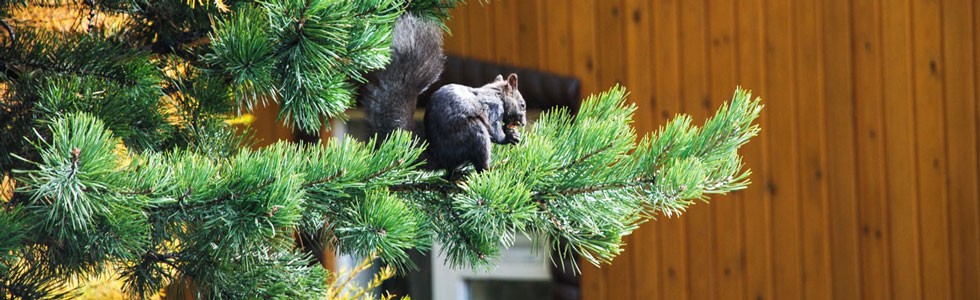 Фото Байкал Сервис