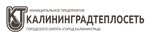 Kaliningradteploset (Kaliningrad, Narvskaya Street, 58), district heating