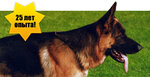 Kedr-Dog (Irinovskiy Avenue, 2) ، مركز حديقة الحيوان