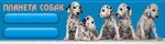 Planeta Sobak (Ochakovskoye Highway, 40с1), pet shop
