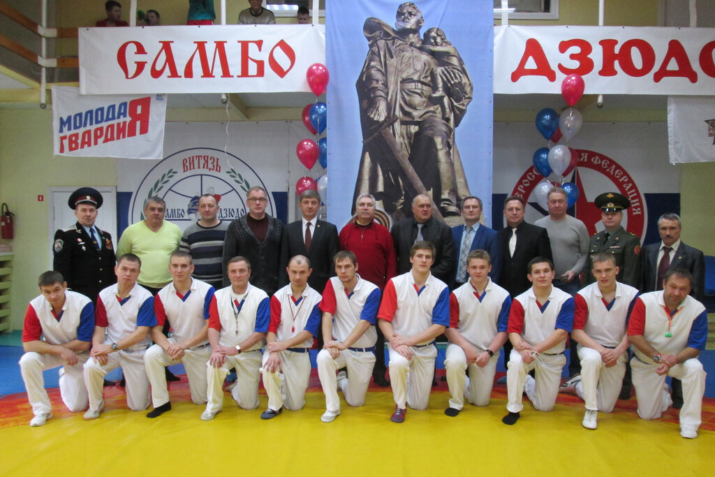 Витязь дзюдо лого