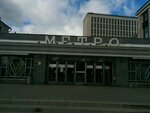 Боровицкая (ул. Воздвиженка, 3/5с2), станция метро в Москве