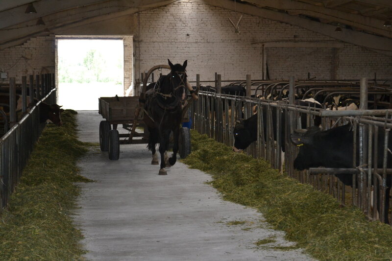 Карта ульяновская область ясашная ташла