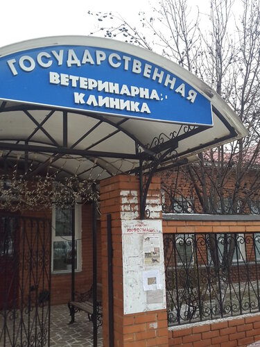 Ветлечебница на моторной оренбург