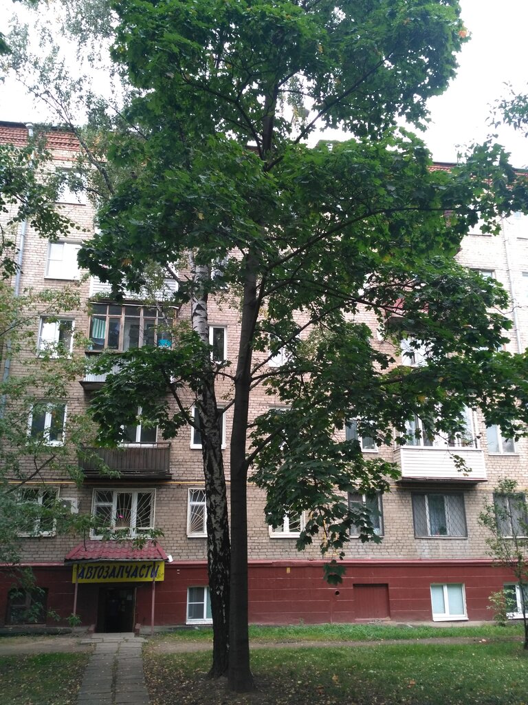 Авто папа магазин