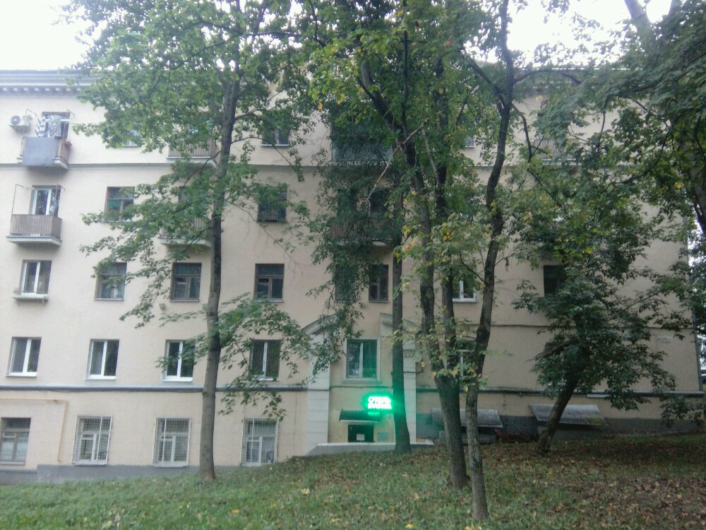 Фото Брусника Нагорная