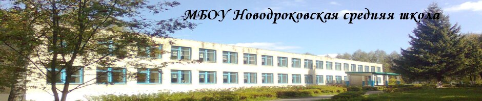 مدرسة Новодроковская средняя общеобразовательная школа ، مقاطعة بريانسك، صورة