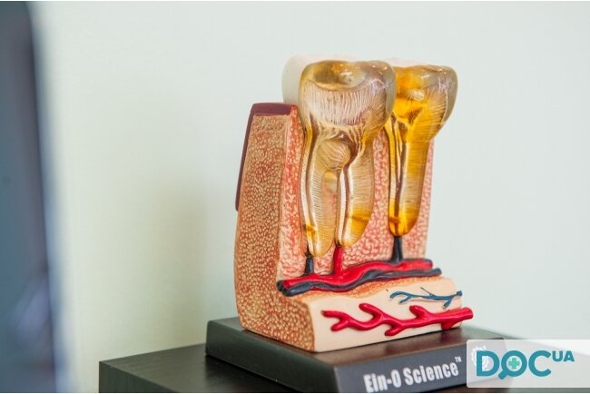 عيادات الأسنان Stomatologicheskaya klinika Estetika ، كييف، صورة