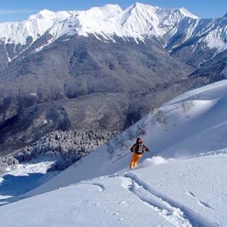 Фото Stellar Collection Chalet Krasnaya Polyana