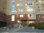 TSZh Serova 45 (Serova Street, 45), hoa, junta directiva de snt