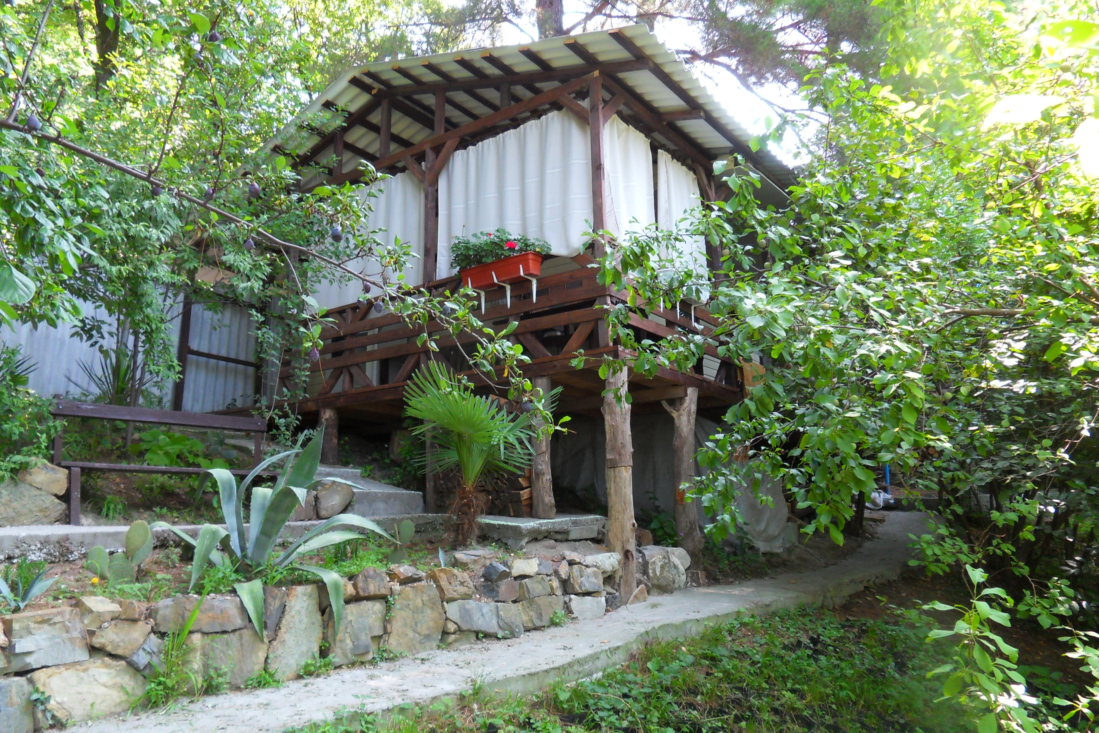 Фото Сосновый Бор