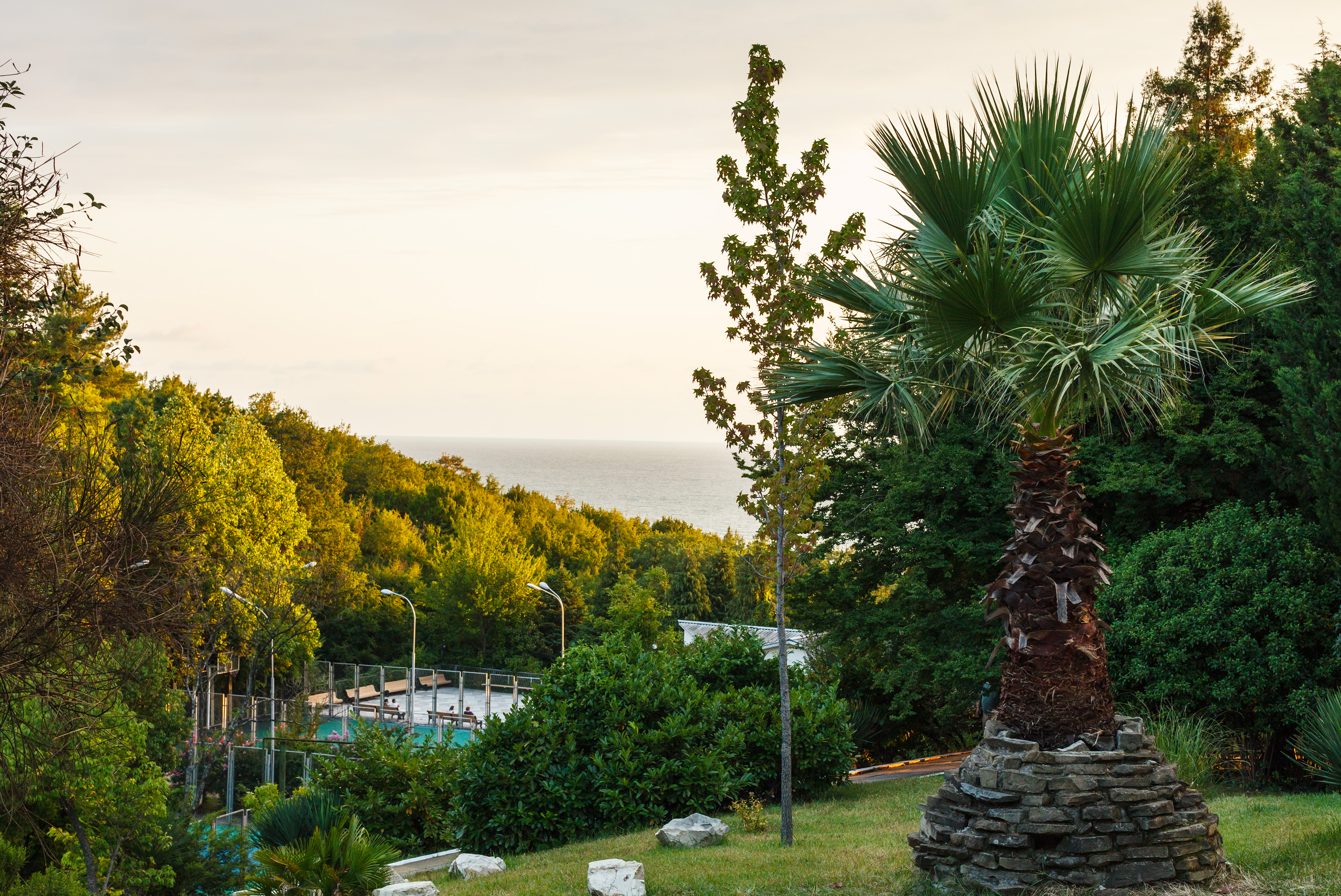 Фото Тихий Дон