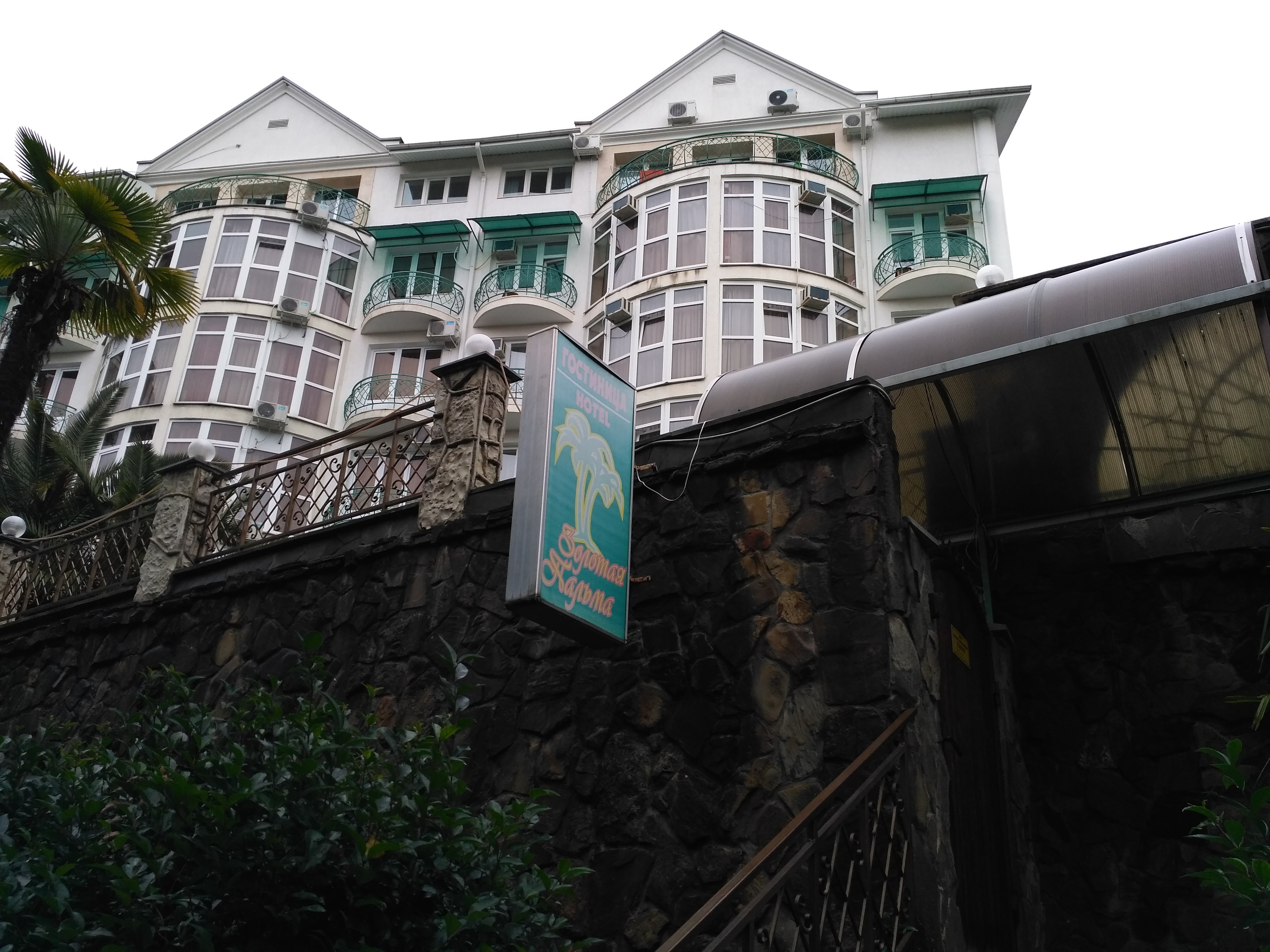 Фото Золотая пальма