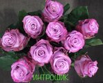 Introshik (rabochiy posyolok Tomilino, Yegoryevskoye shosse, с2) ، متجر مجوهرات