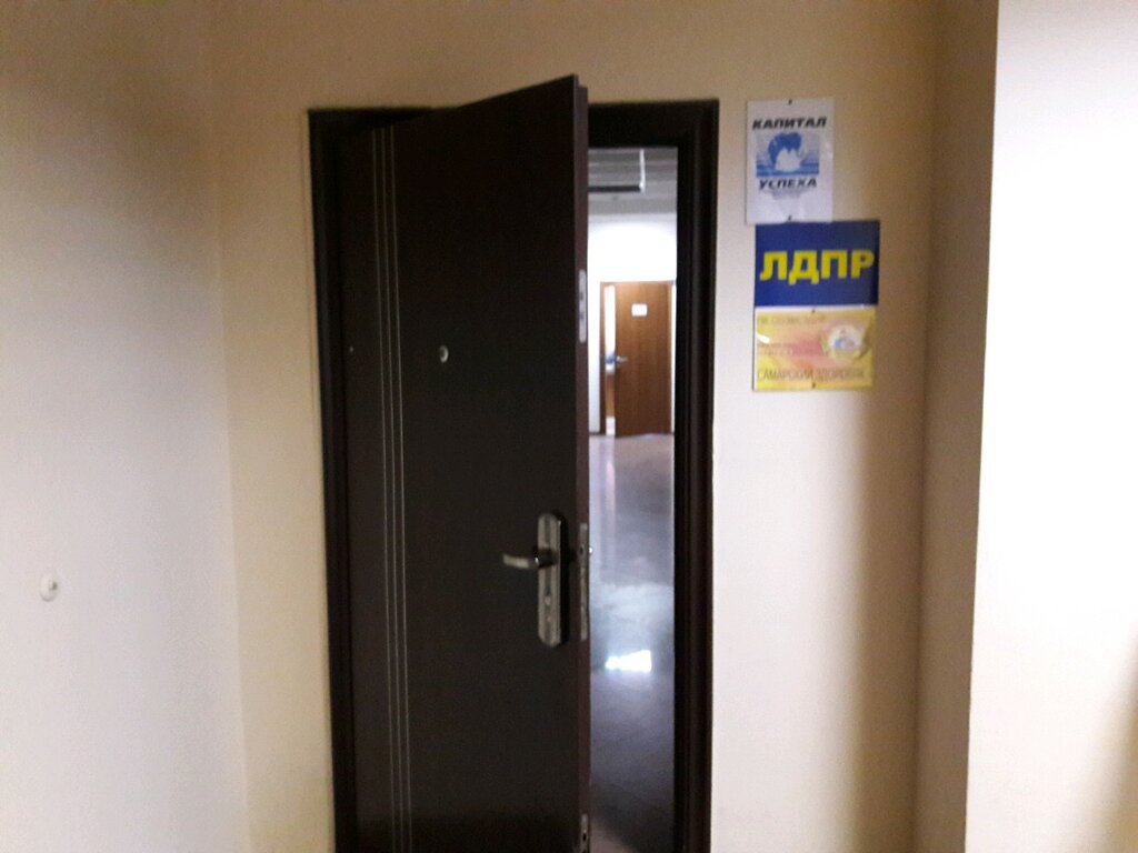 Политическая партия ЛДПР, Самара, фото