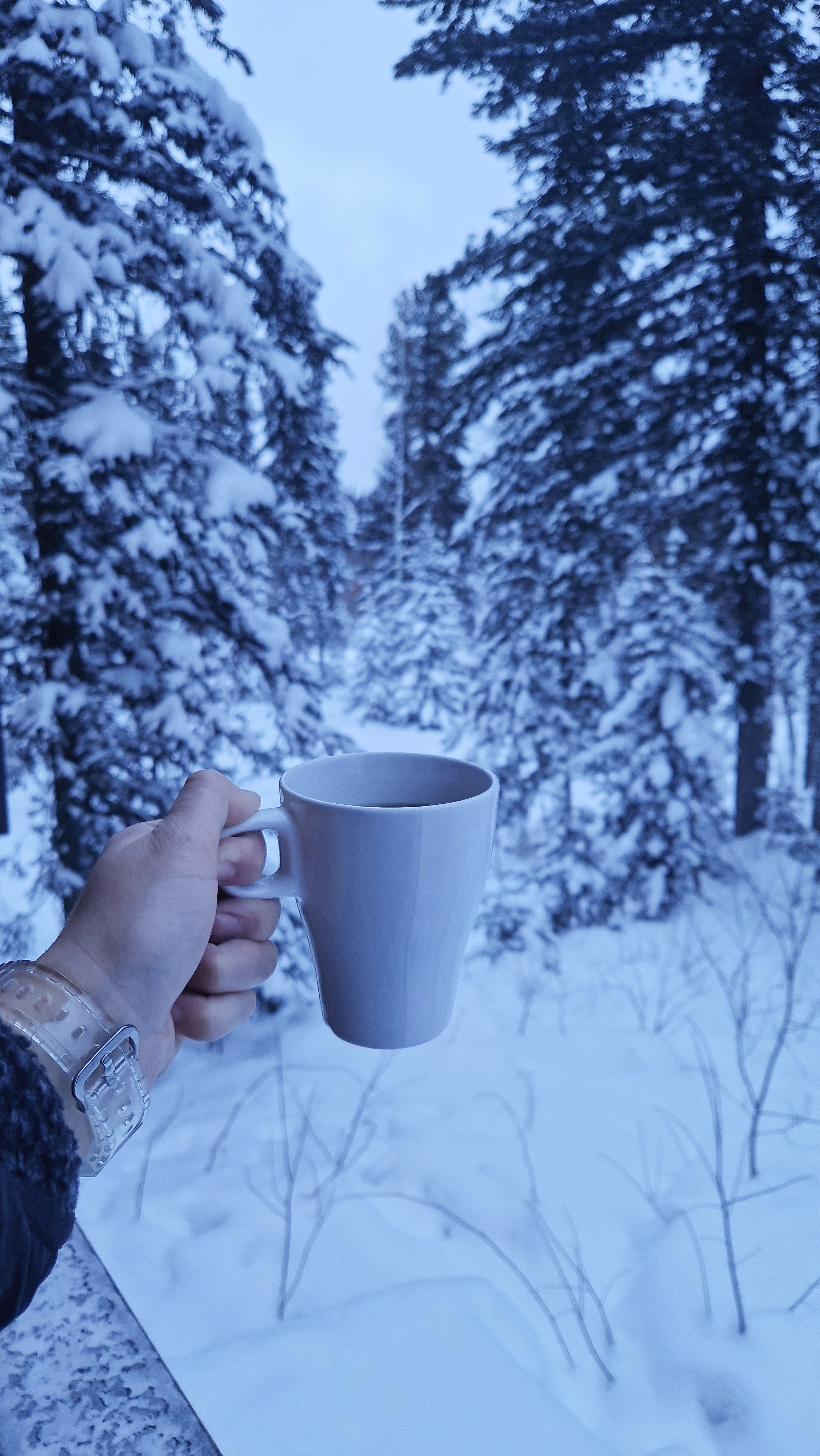 Фото Альпика Хаус