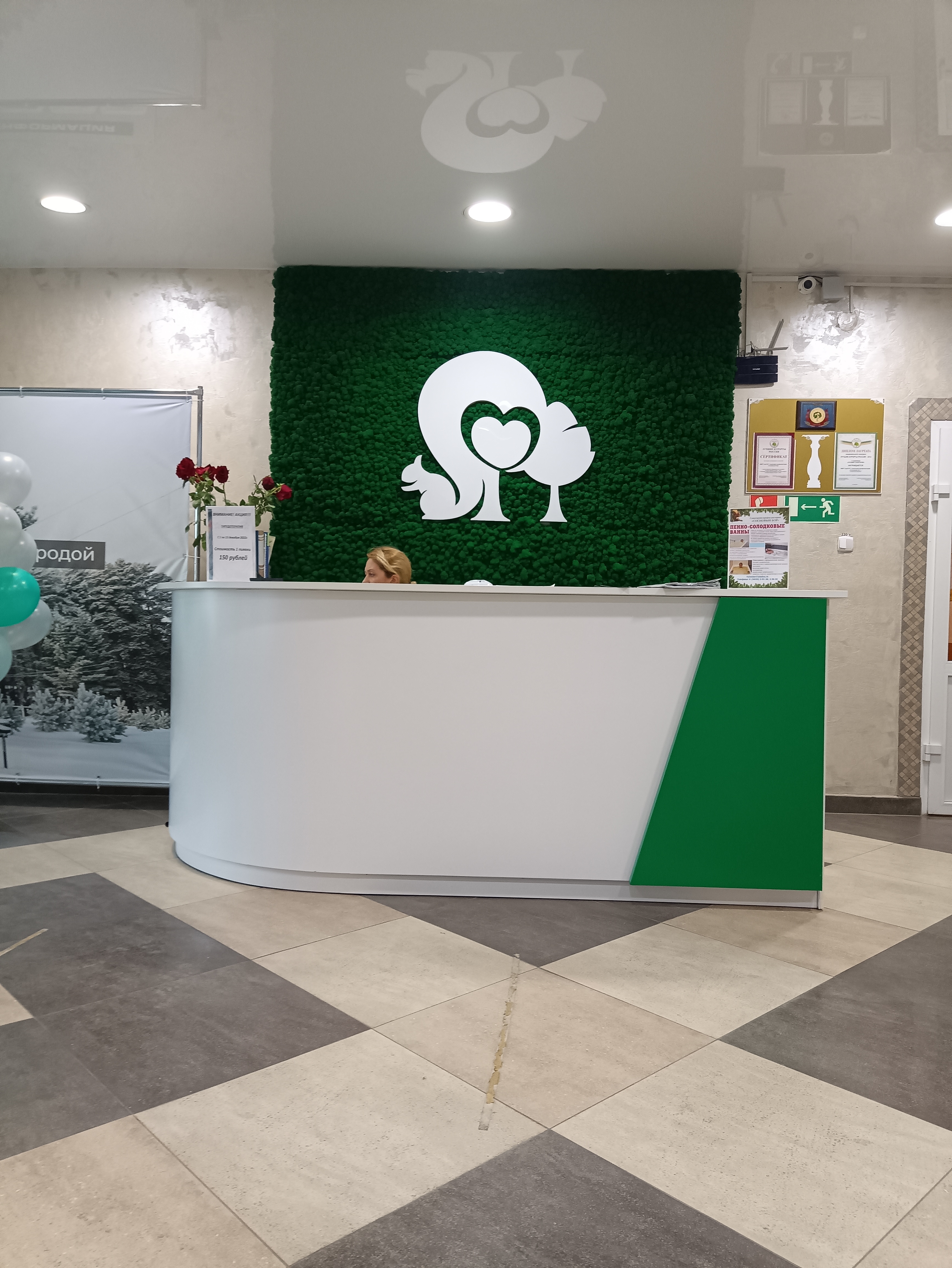 Фото Сосновый Бор