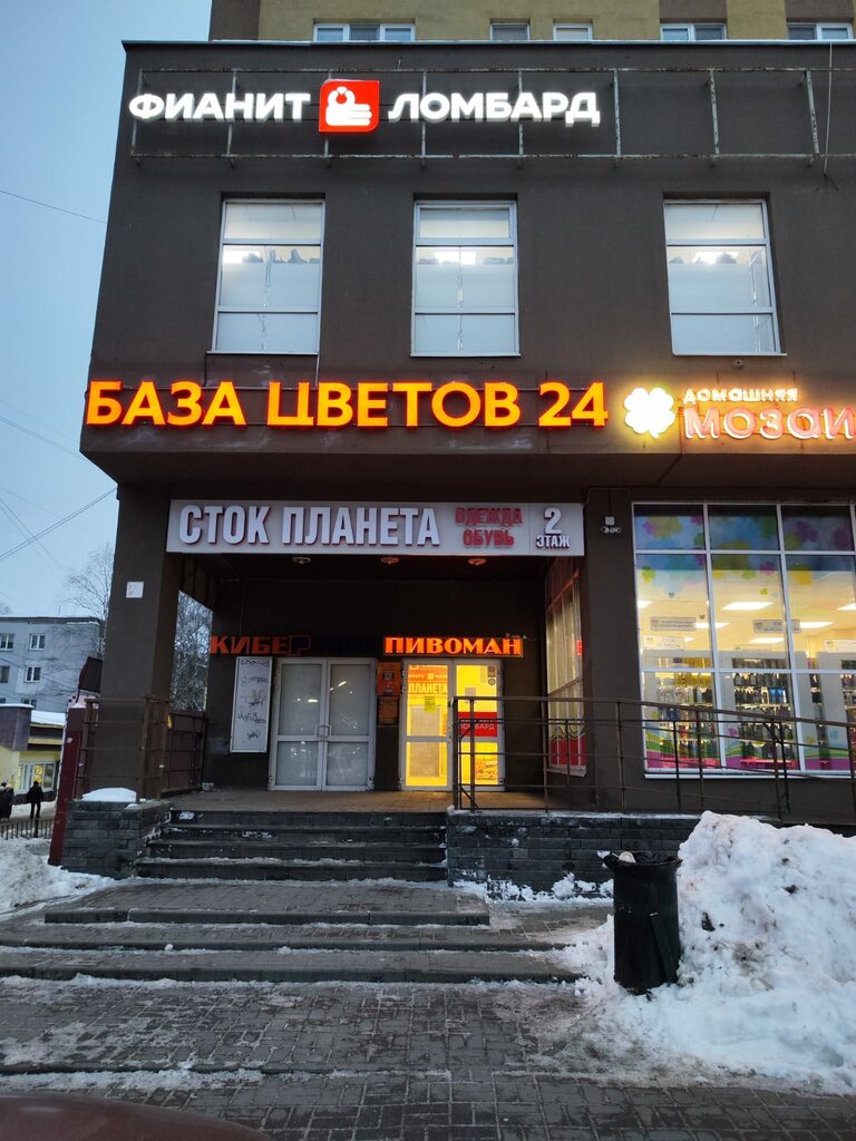 Flower shop Baza tsvetov 24, Nizhny Novgorod, photo