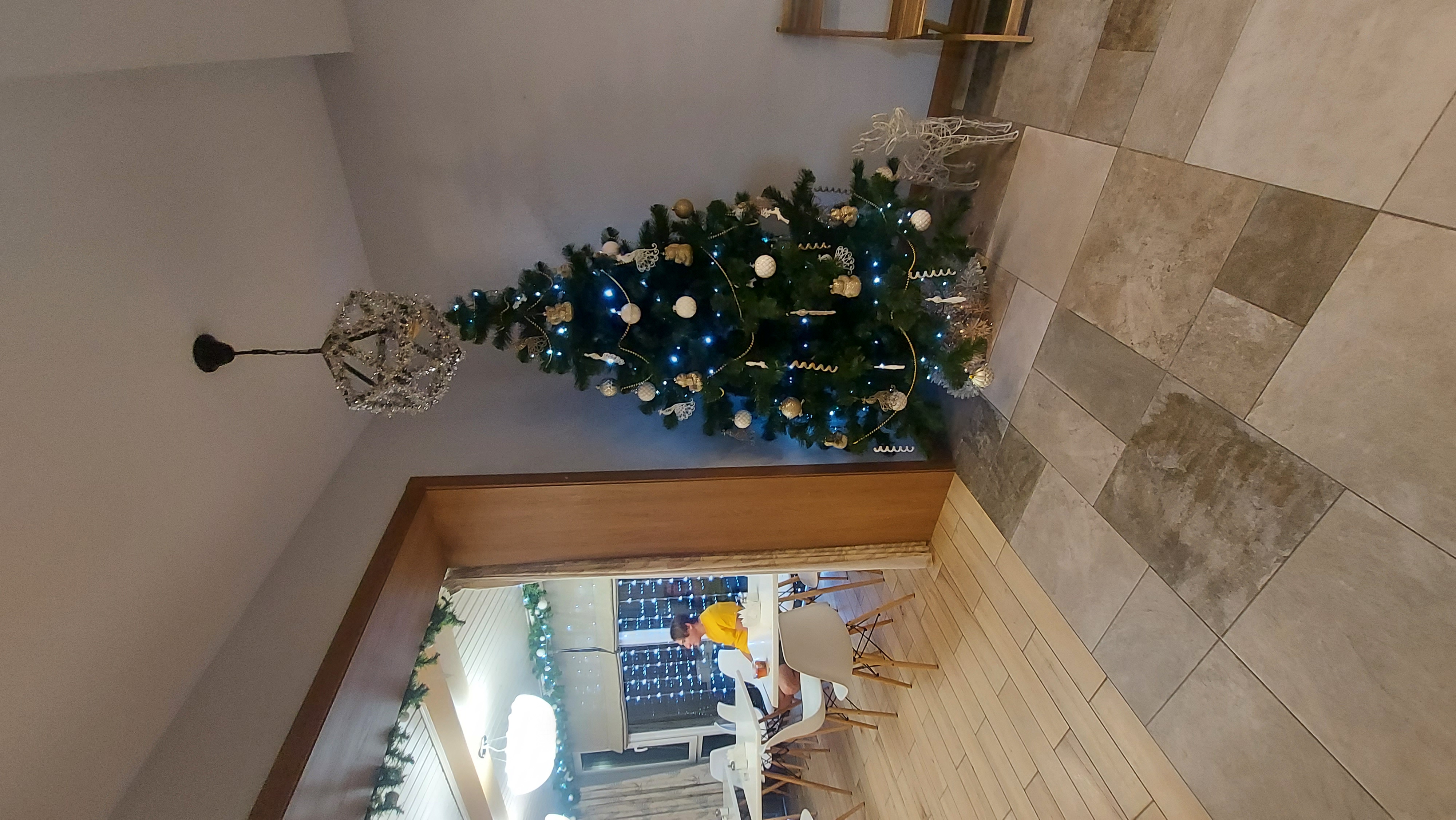 Фото Гнездо