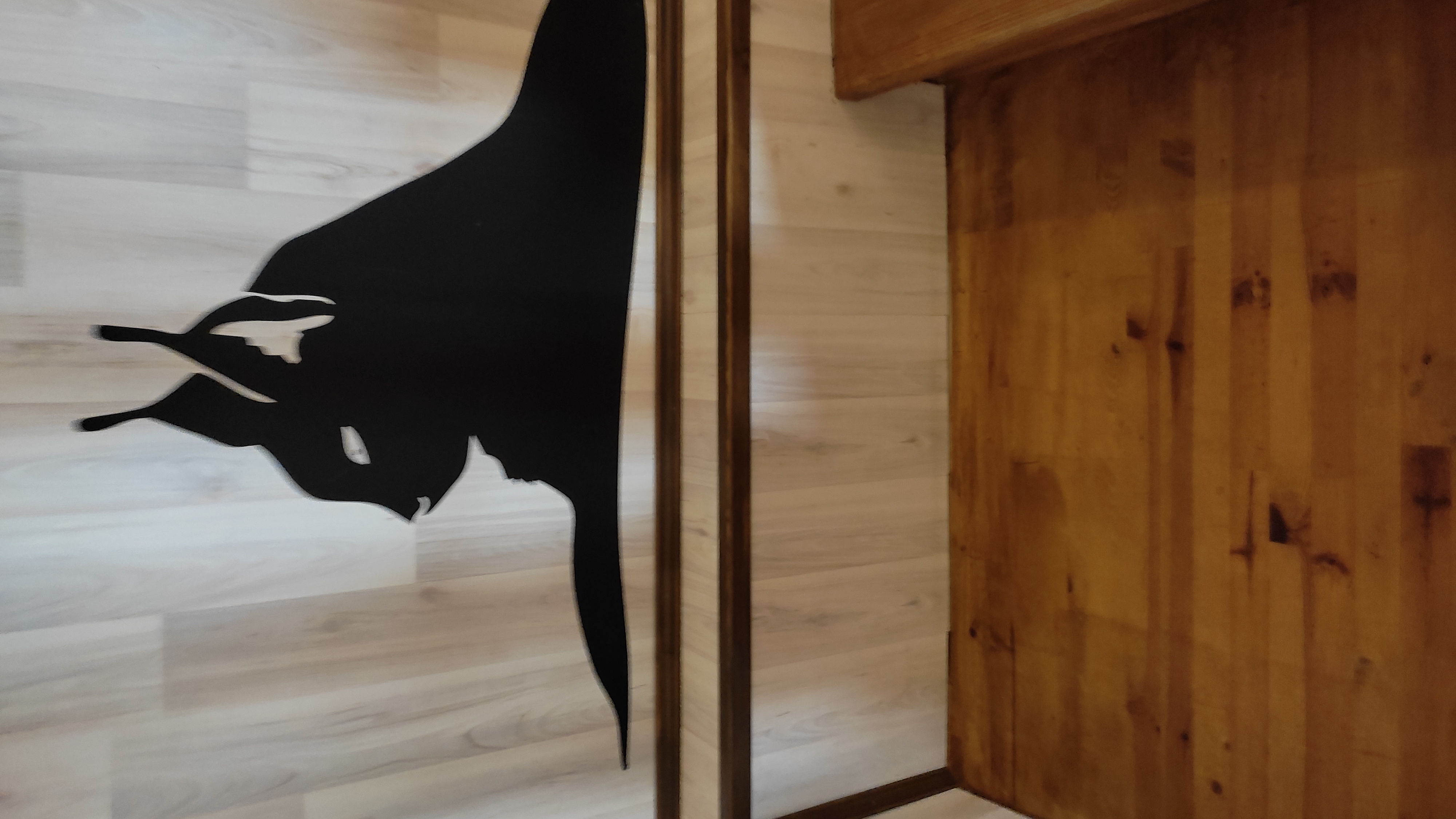 Фото Толстый кот