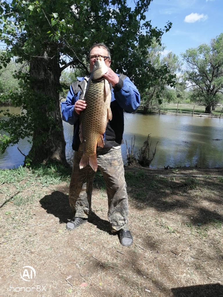 Фото Камышовый рай