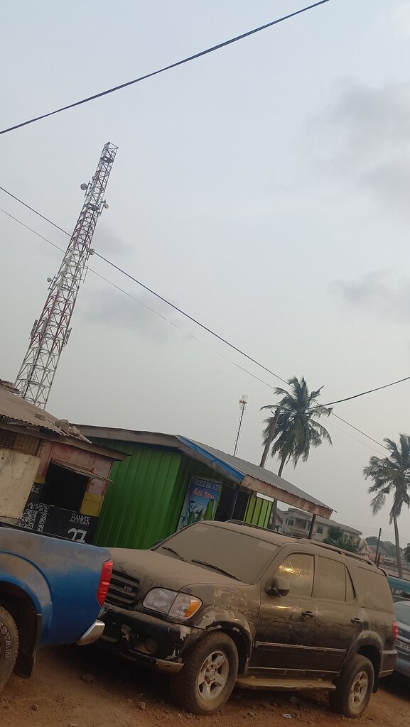 Frozen food products Coldstore, Accra, photo