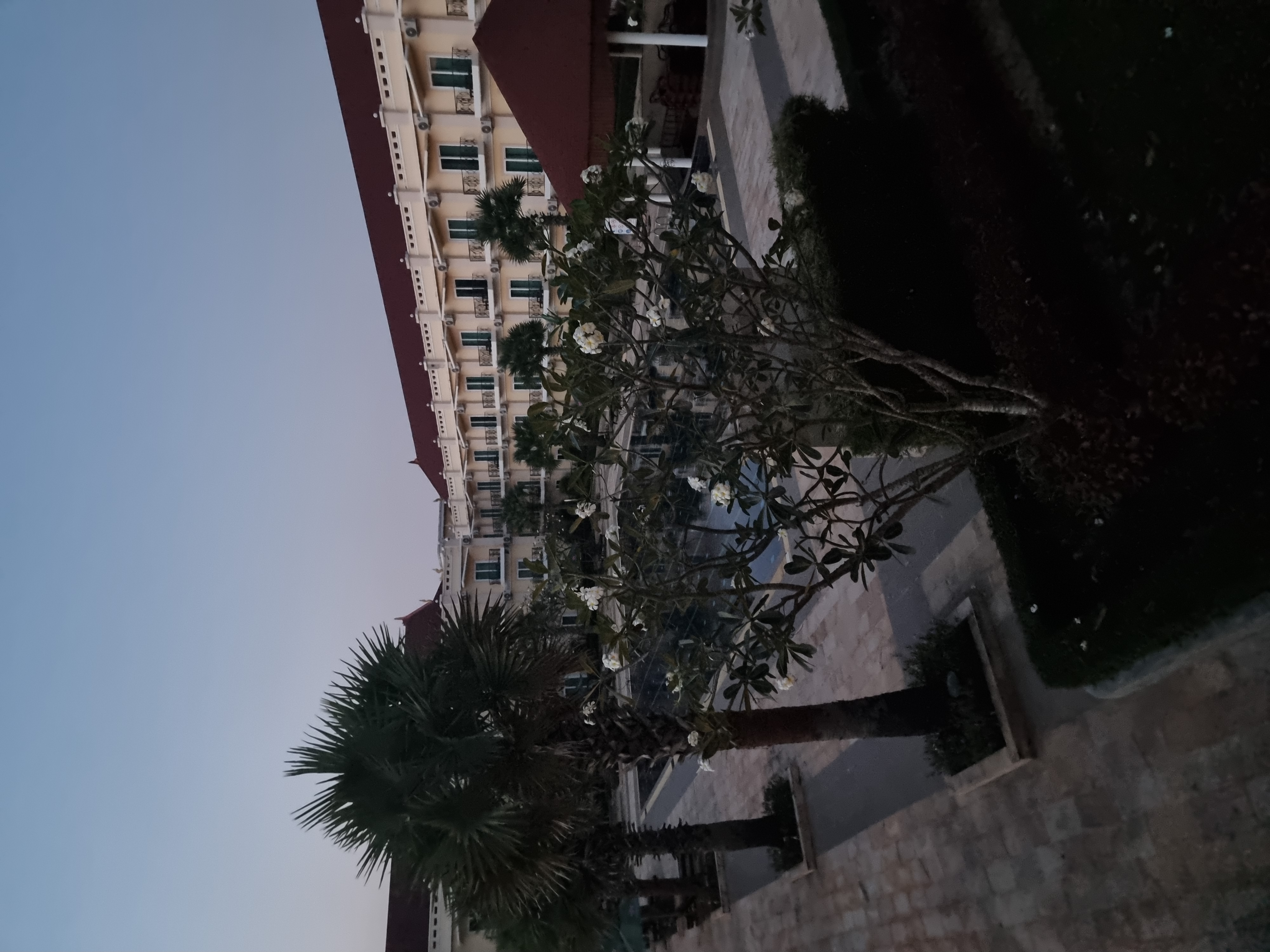 Фото Sokha Palace Siem Reap Hotel