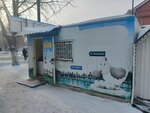 Chicken Products Store (ulitsa Olzhabay batyra, 50), carne de aves y huevos