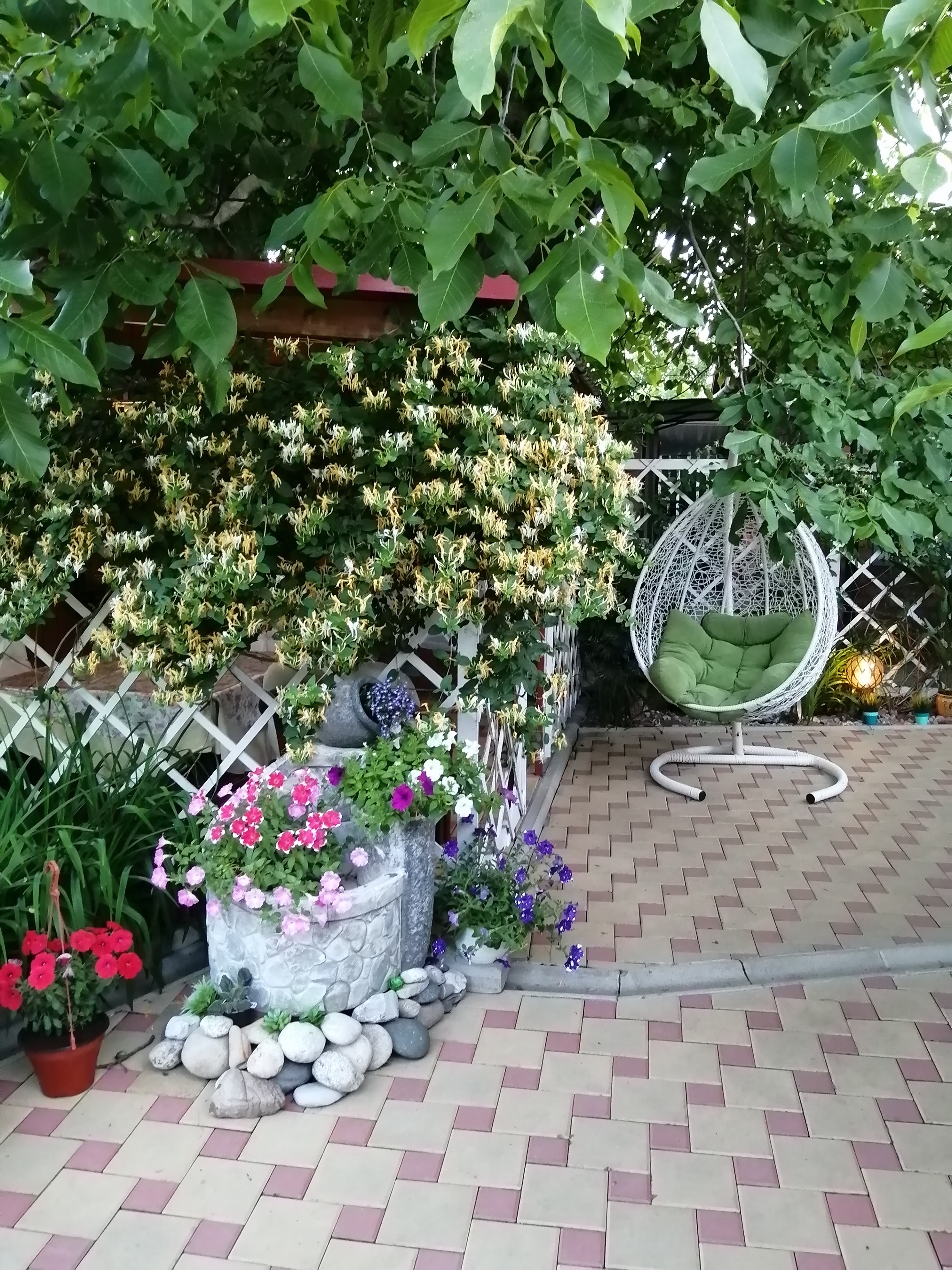 Фото Уютный дом