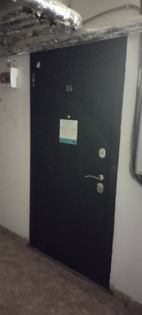 Foreign language courses Meow English, Anapa, photo