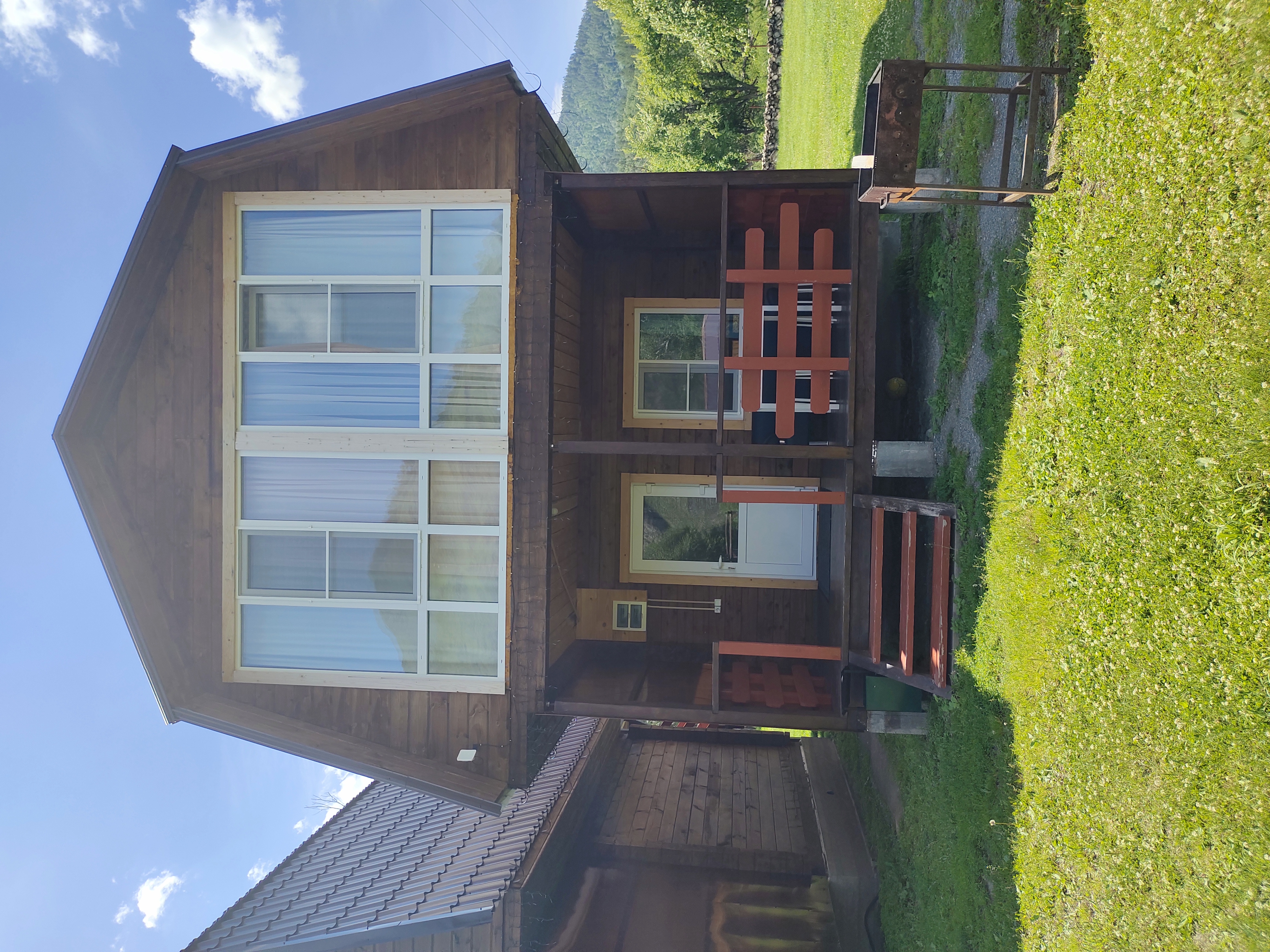 Фото Золотой медведь