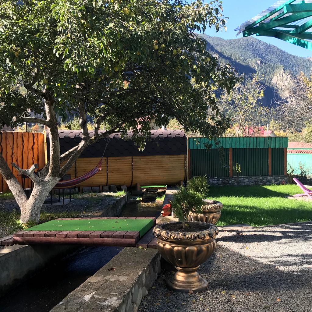 Фото Райские яблоки