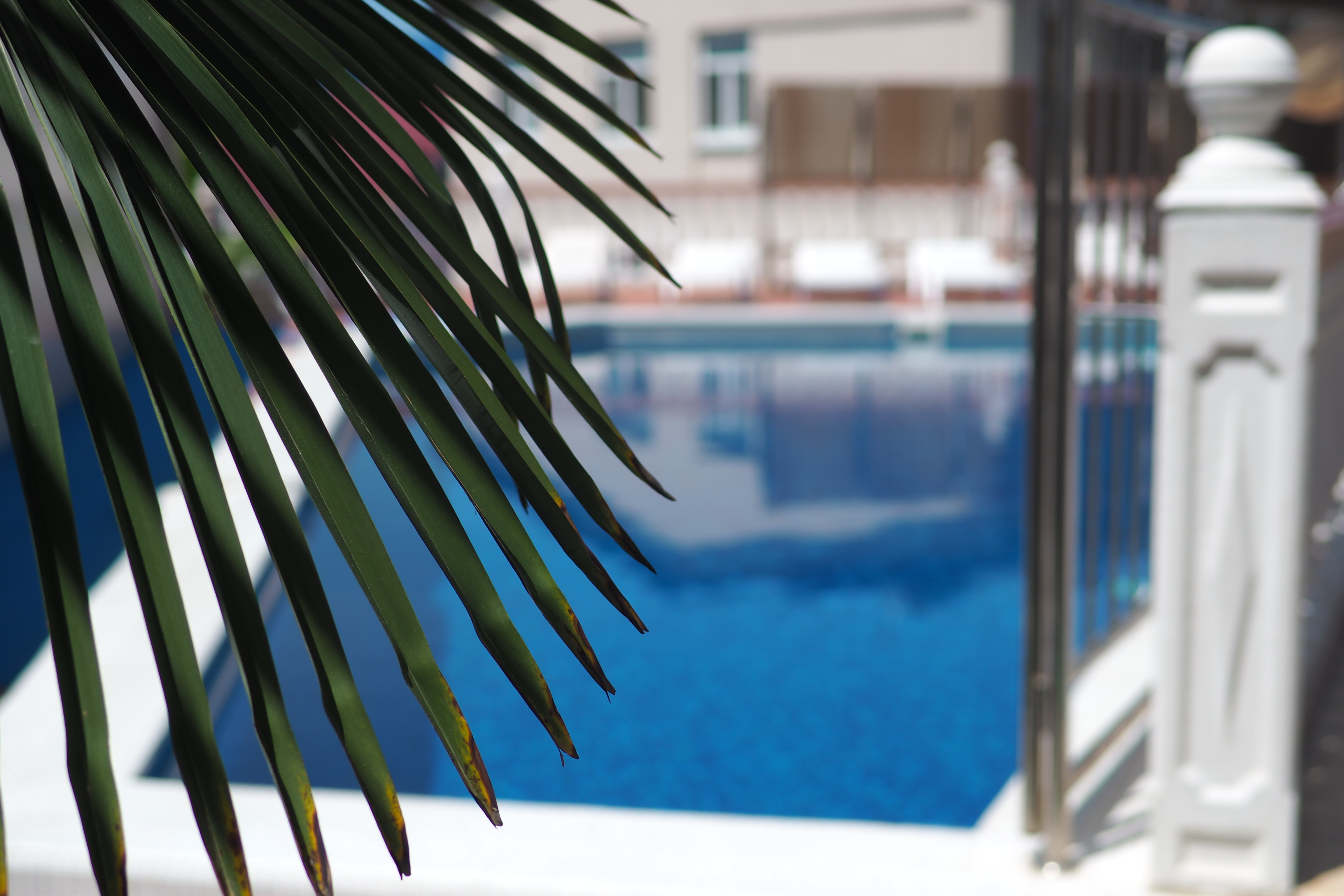 Фото Сибиряк