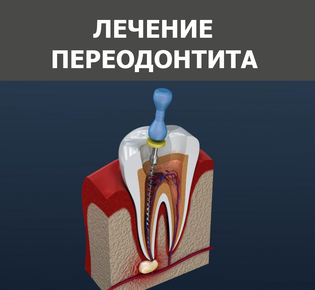 муниципальные стоматологии томска