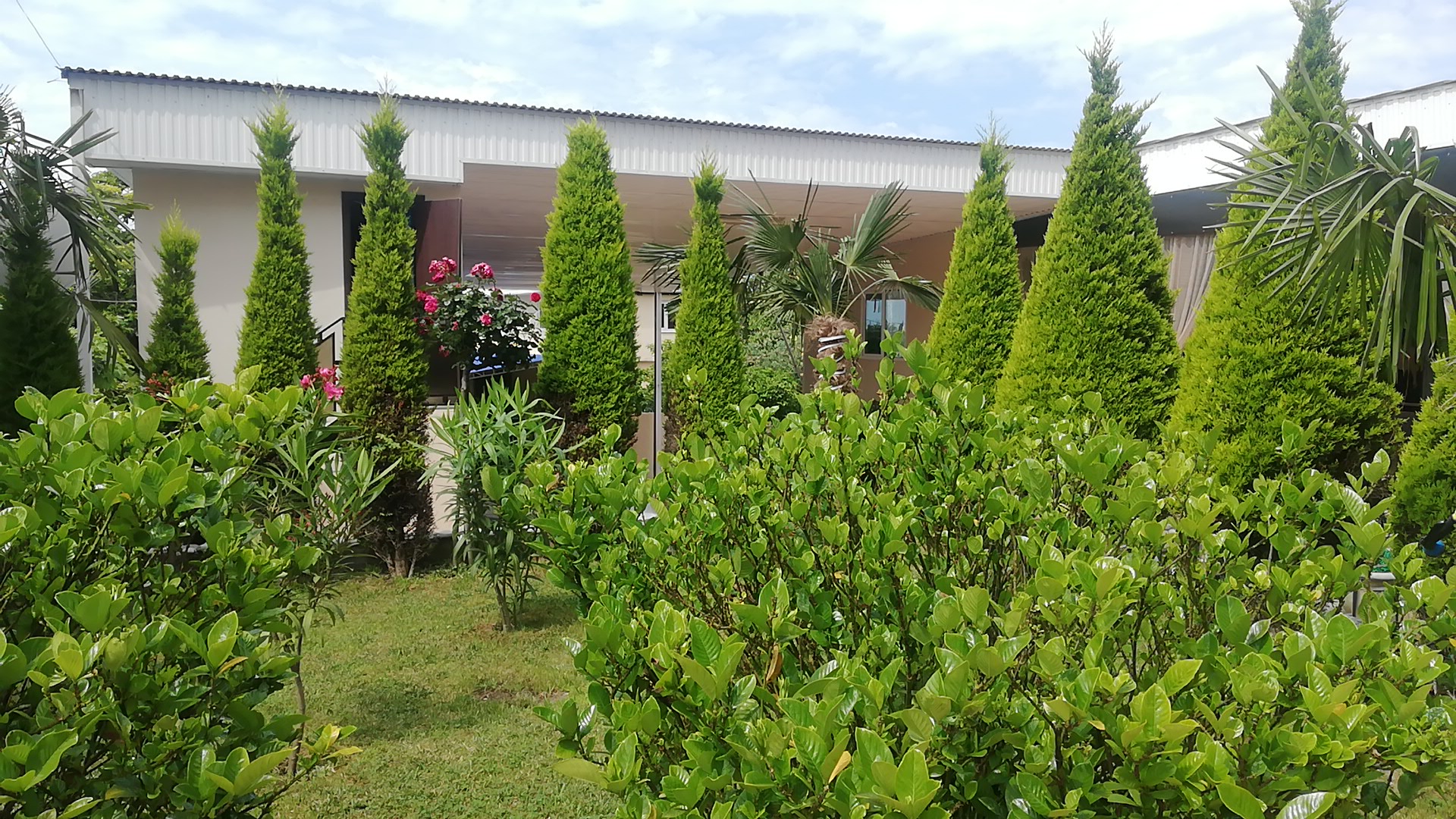 Фото Парк Отель Абхазия