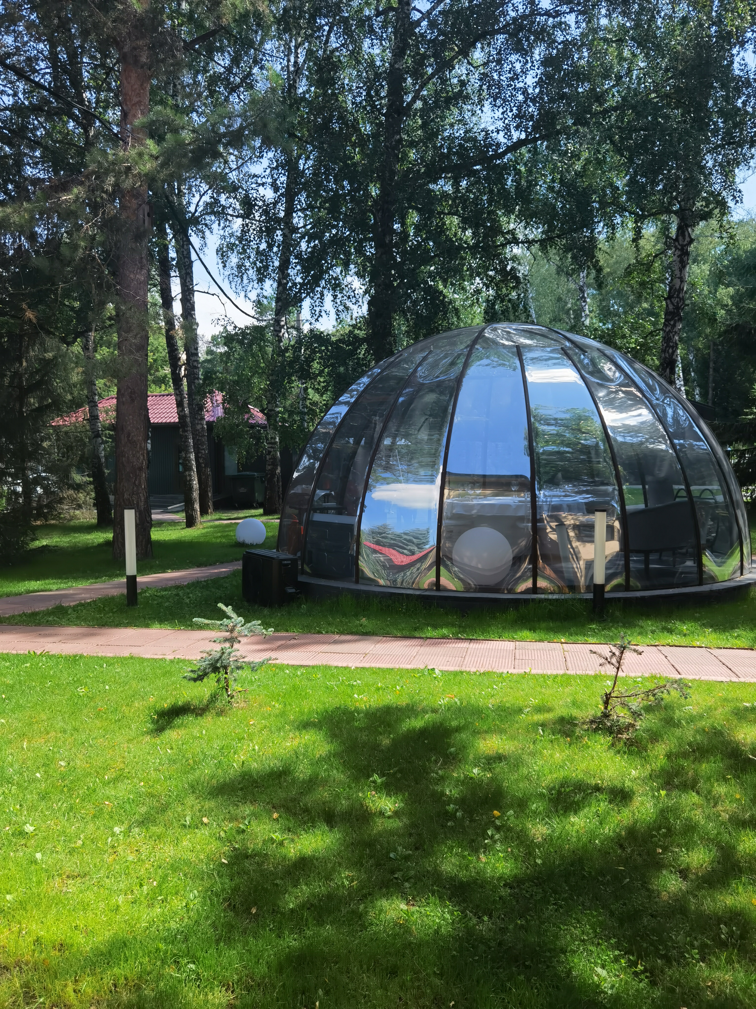 Фото Сосновый бор