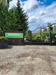 Il Bosco (posyolok Nikolskoye, 114), vivero de plantas