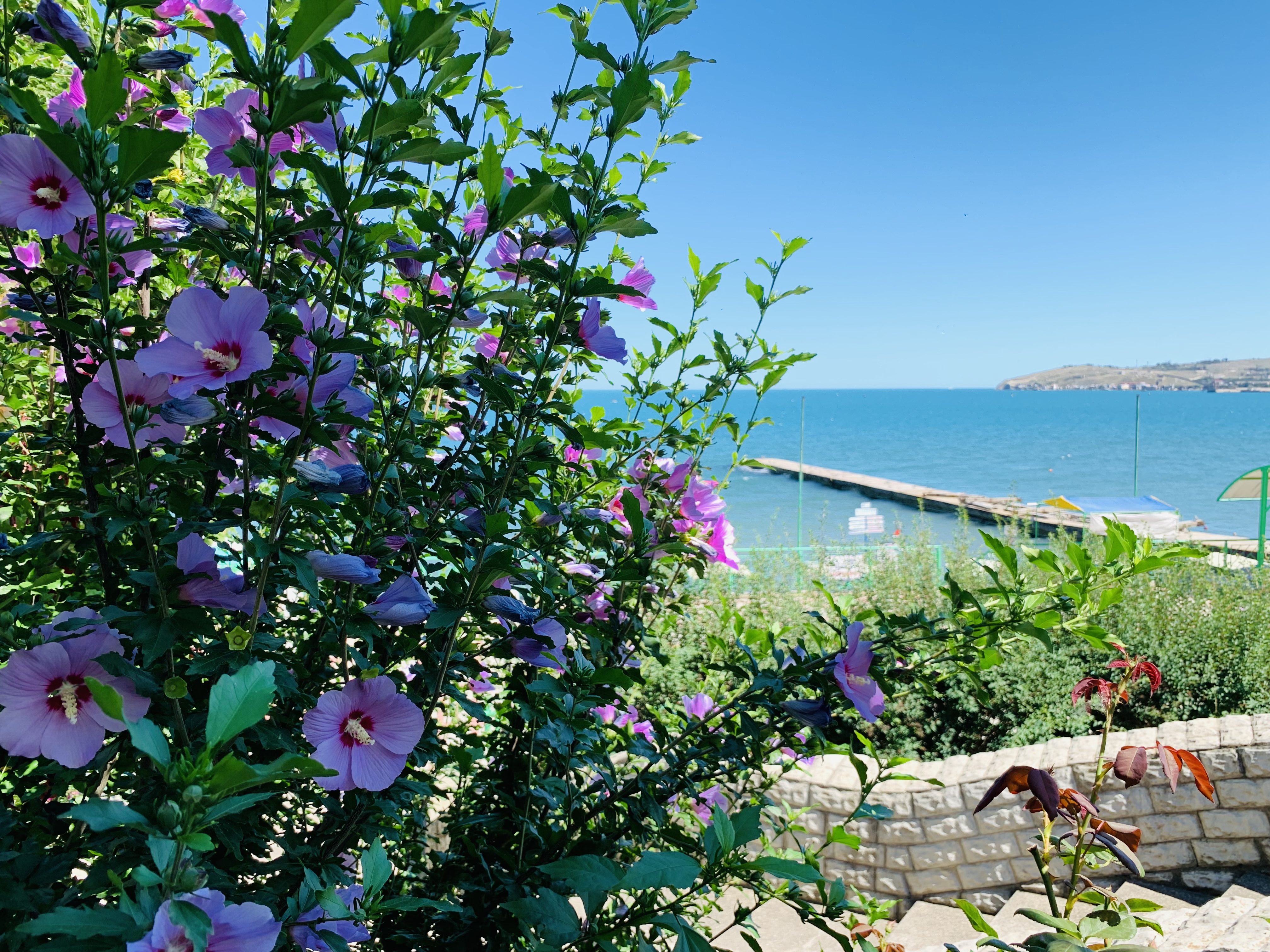 Фото Пансионат Феодосия